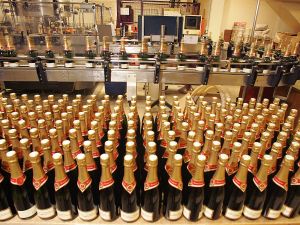 Wine Factory 