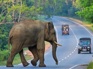 Sri Lanka