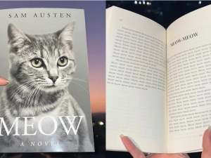 رواية Meow: A Novel