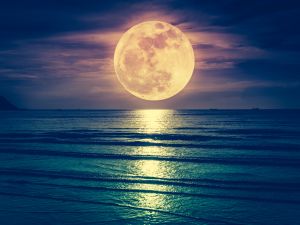 moon