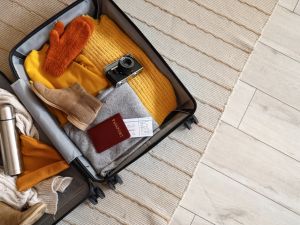 Shutterstock Travel Bag