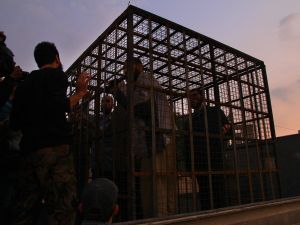 Human Shields