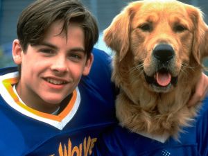 أجمل أفلام  عن الكلاب في يوم الكلاب العالمي 