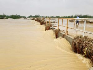 أرشيفية