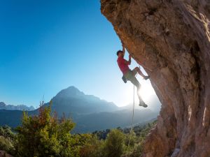 Shutterstock climbing
