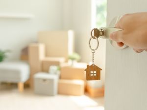 Shutterstock Home