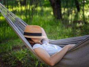 Shutterstock nap