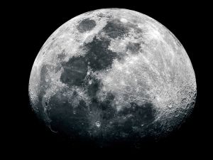 Shutterstock August 19