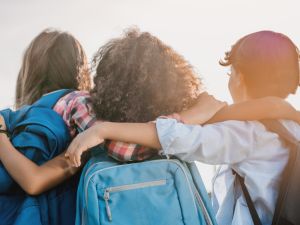 Shutterstock School
