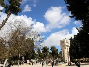 الجامعة الأردنية