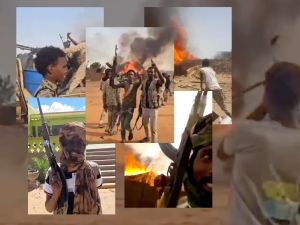 RSF Fighters