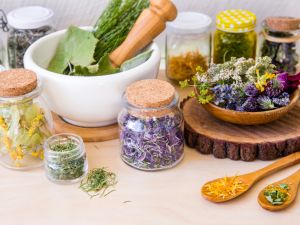 Shutterstock Home recipes