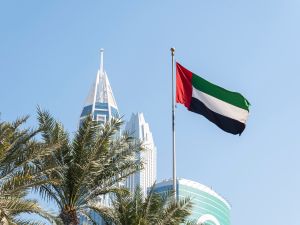UAE flag