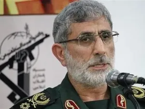 قائد