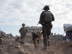 israeli army 