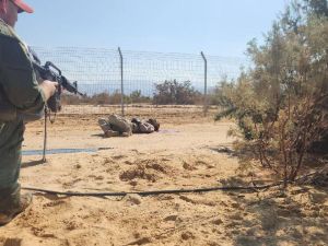 Gunmen cross from Jordan, fire on Israeli soldiers near dead sea