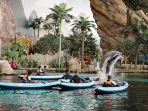 Dive Into Adventure: Kayak with the Dolphins and Scuba Dive without a Certificate at SeaWorld® Yas Island, Abu Dhabi