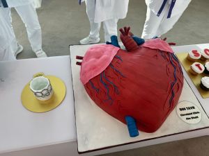 Cleveland Clinic Abu Dhabi Celebrates 500 TAVI Procedures, Pioneering Cardiovascular Care in the UAE 