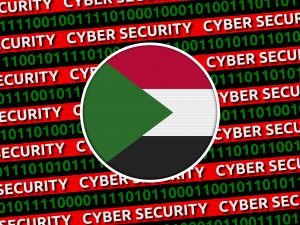 Anonymous Sudan