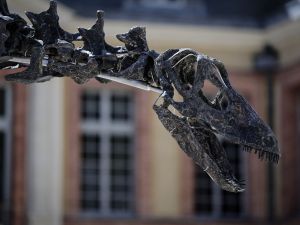 Apatosaurus dinosaur skeleton sells for over $6M at auction