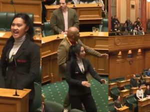 Haka protest dance shakes New Zealand parliament over indigenous rights dispute