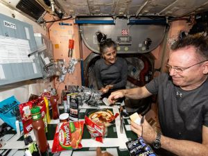 Sunita Williams' visible weight loss evoked real concerns. (NASA) Sunita Williams