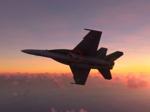US fighter jet