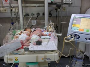 newborn babies