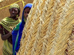 Over 550 rape cases documented in Sudan