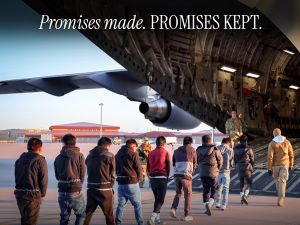 White house launches largest deportation campaign using military aircraft