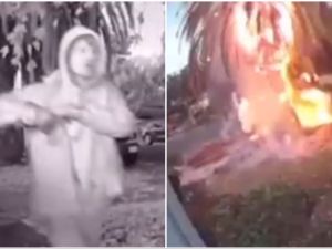 Man who was accused of setting a tree a blaze in Los Angeles. (X) Los Angeles