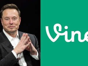 Vine