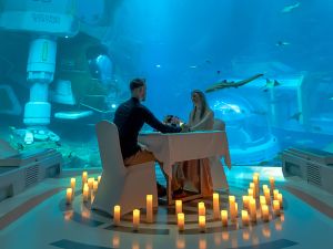 Dine With a Mesmerizing View this Valentine’s Day at SeaWorld® Yas Island, Abu Dhabi