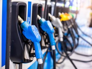 UAE petrol dips, gold soars in March 2025