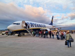 Stowaway cat grounds plane for two days after entering electrical bay