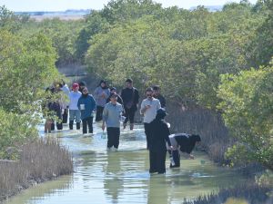 WCM-Q students explore biodiversity at Purple Island