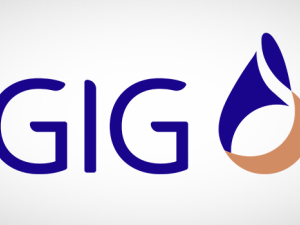 GIG Gulf launches Market-First Instant Orange Card Access and UAE PASS Login