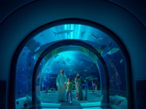 SeaWorld® Yas Island, Abu Dhabi and the Yas SeaWorld Research & Rescue Center Awarded Prestigious AMMPA Accreditation