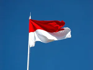 _