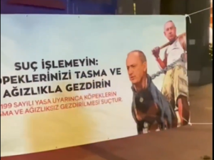 "We know where you live": Turkish journalist threatened with his image on dog's body