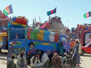 Afghans