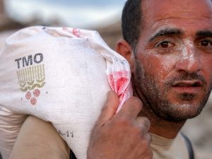 Gaza ceasefire