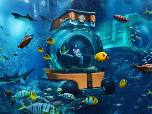Embark on a Summer of Adventure Where Guests Learn, Explore and Discover at SeaWorld® Yas Island, Abu Dhabi
