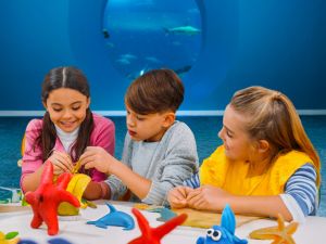 Introducing Yas Island Summer Camp: One Camp - 5 Unique Experiences, Where Learning Meets Adventure