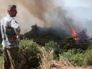 forest fire