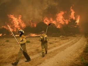Spain wildfires