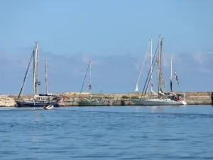 اسطول الصمود