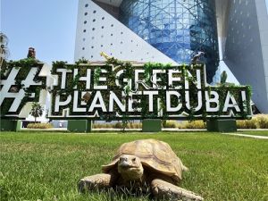 احتفالات مميزة باليوم الوطني السعودي بأجواء حافلة بالتشويق والمغامرات والمرح