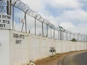 سدي تيمان
