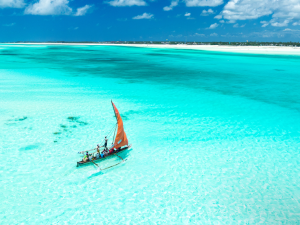 رحلة إلى جنة أفريقيا الساحرة: الاتحاد للطيران تعود إلى زنجبار برحلات الصيفية